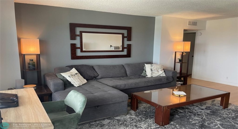 Spacious Living Room