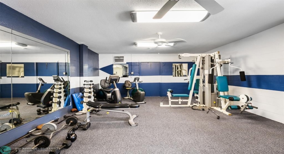 Gym