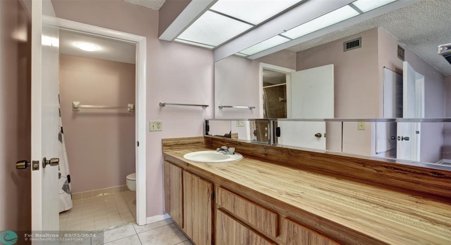 Primary Bathroom has a large vanity and a private shower and toielt.