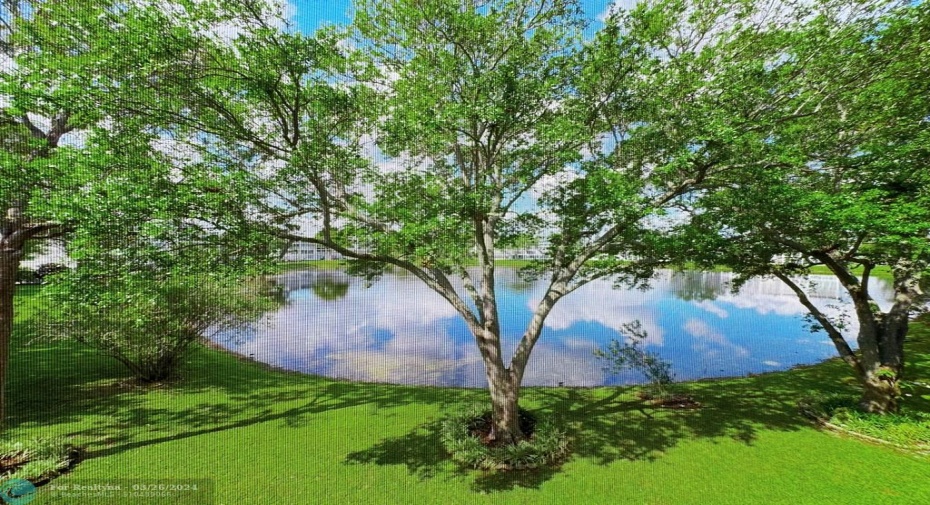Beautiful Lakeview