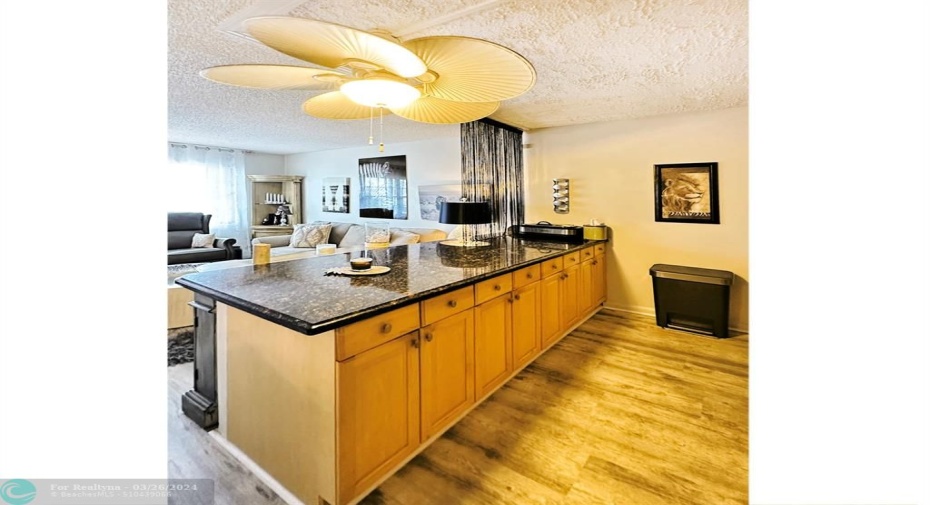 Counter Top Open to Living Room w/Added Storage.