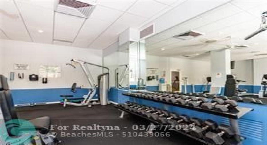 Gym
