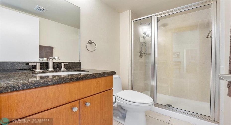 Guest bath with walk-in shower