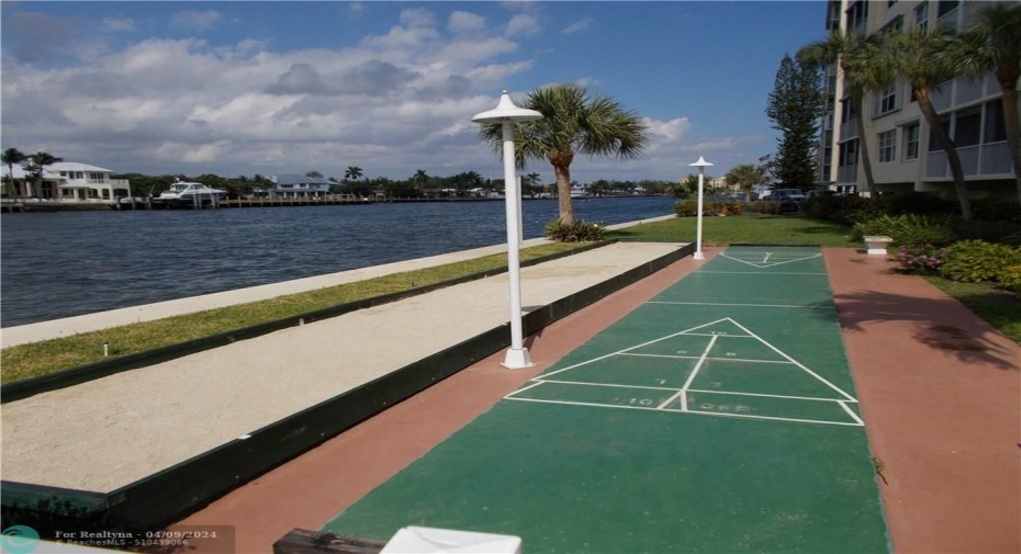 Shuffleboard