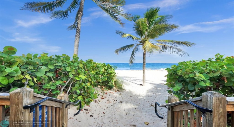 There is a daily beach attendant!