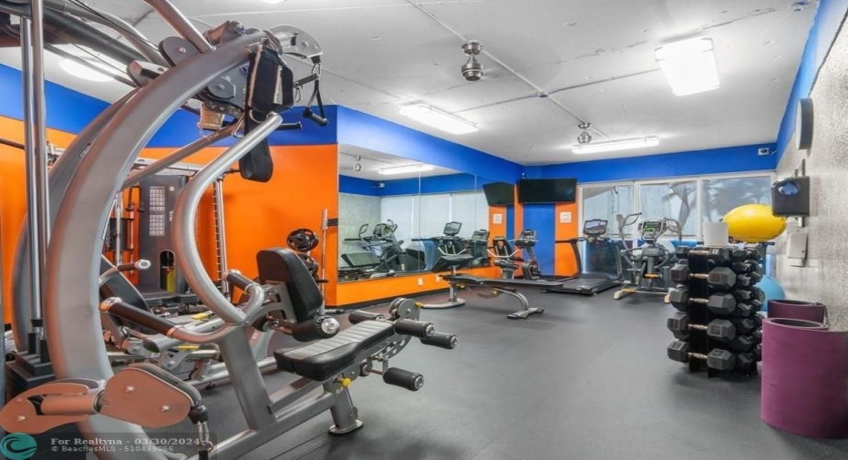 Gym