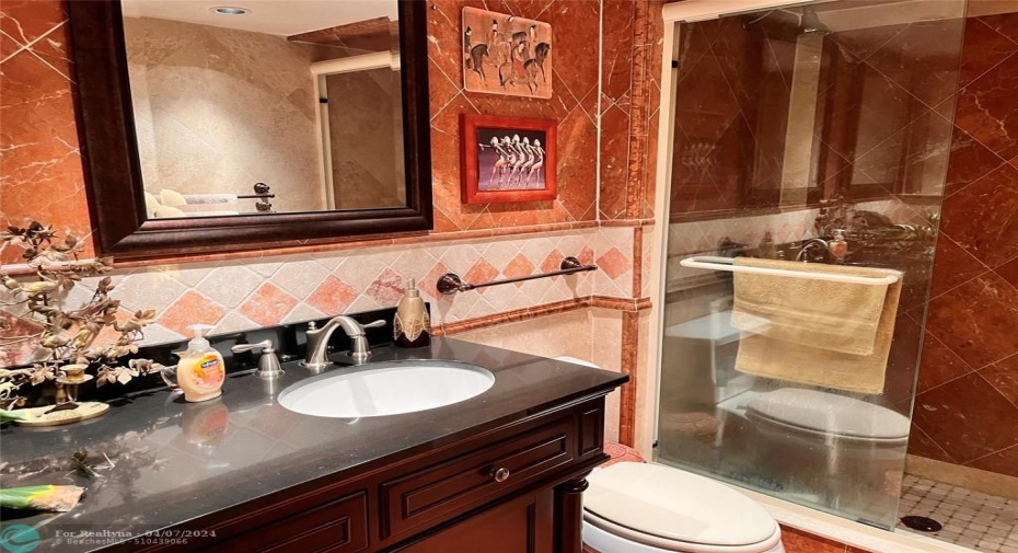 guest bathroom