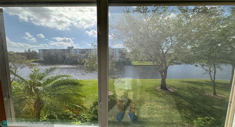 Floor to Ceiling window view