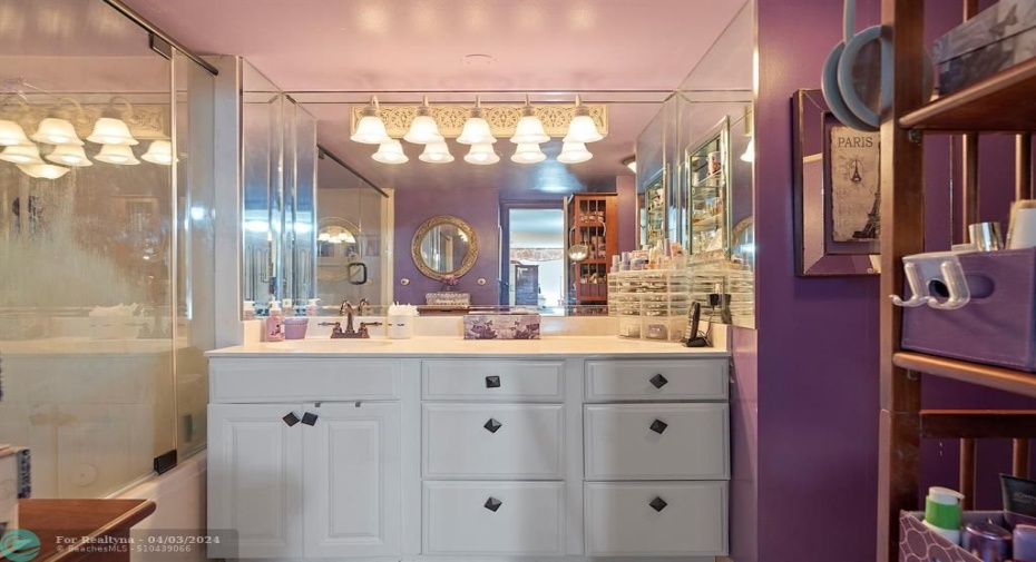 Master Bathroom with newer vanity
