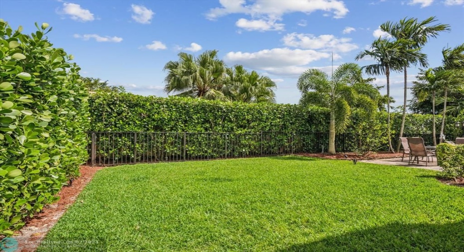 Fenced in backyard