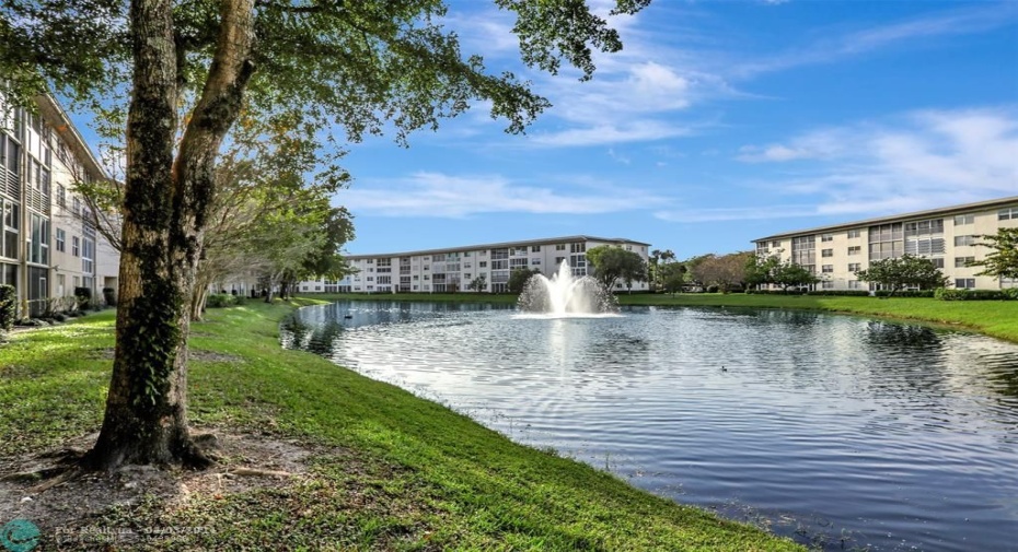 lake view