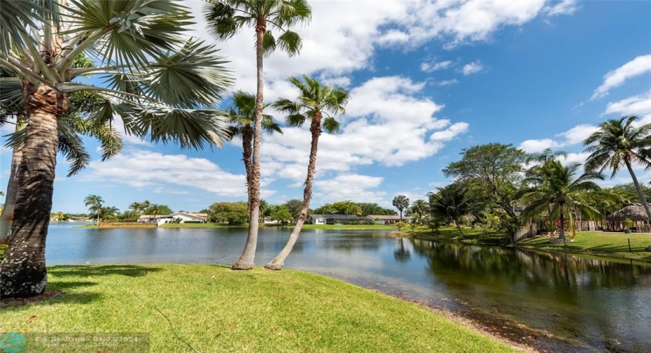 Point Lot - 225 Feet on water!