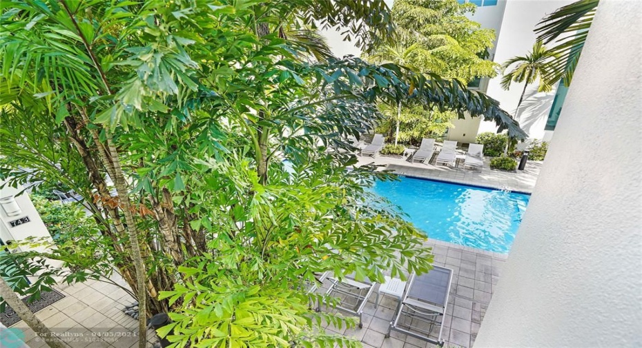 View from living area