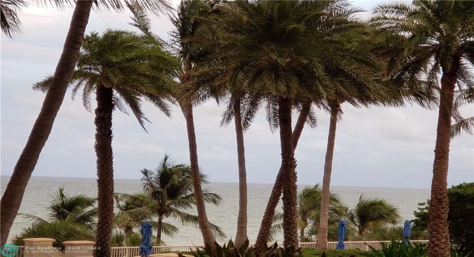 Tropical Ocean View