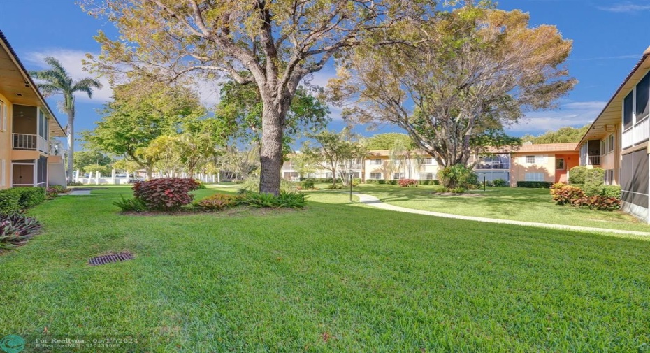 View from screened porch