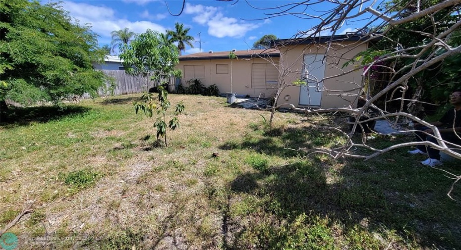 FRUIT TREES/LAWN