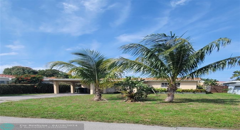 LAWN