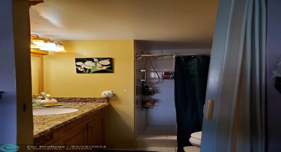 Master Bath