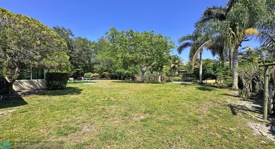 Large waterfront fenced yard with fruit trees.