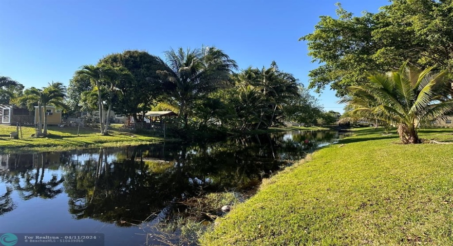 Water Views