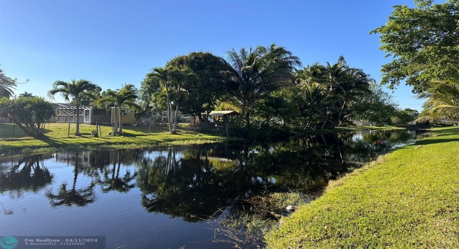 Water Views