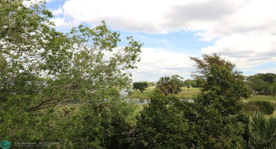 View from Kitchen Balcony