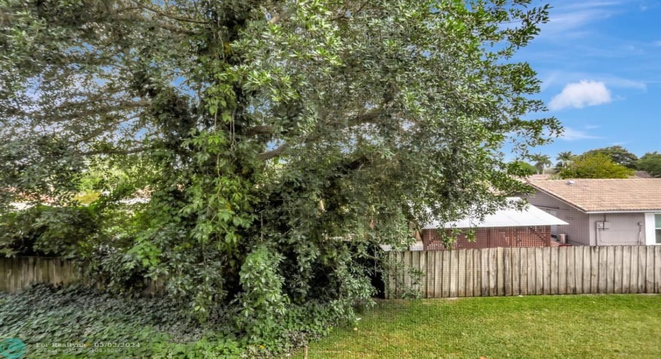 VIEW FROM BACK OF CONDO TO BACK YARD. SINGLE FAMILY HOMES BEHIND CONDO