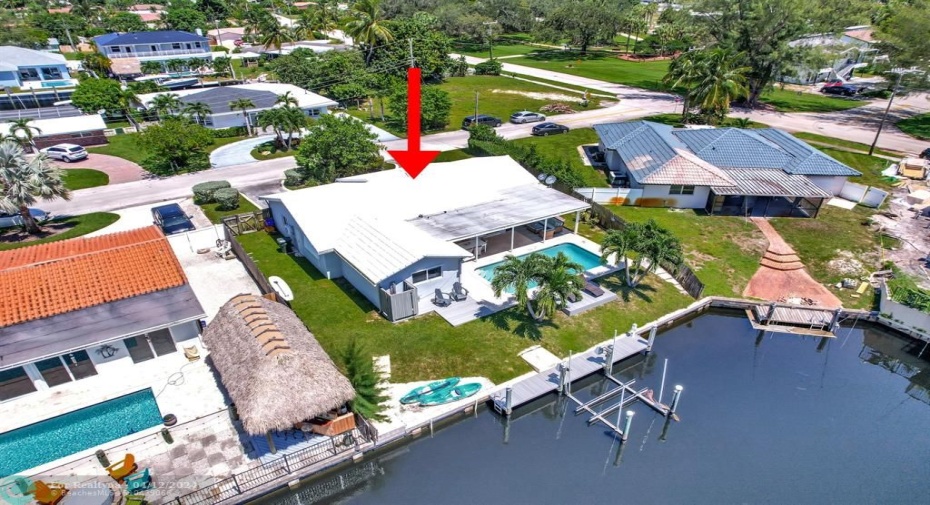 Birdview Back
