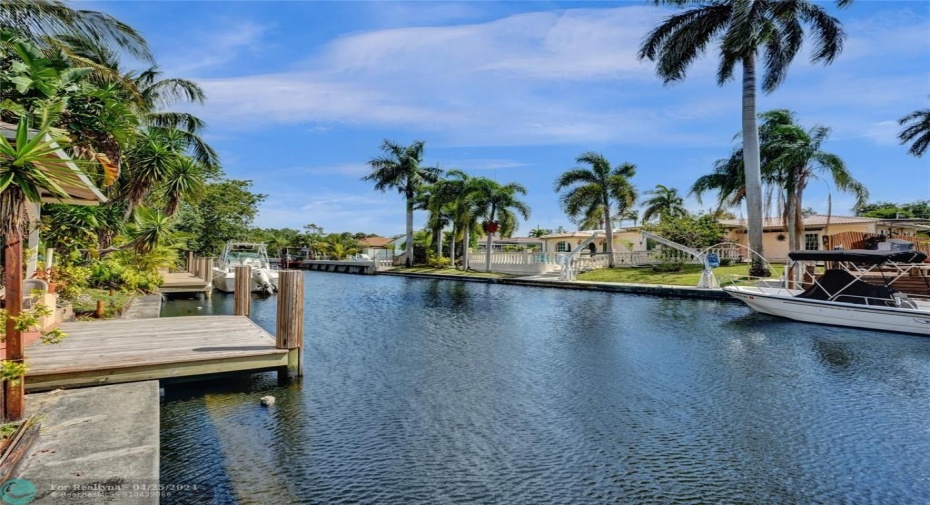 dock and seawall north