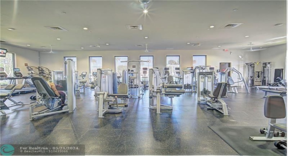 Large CH Gym