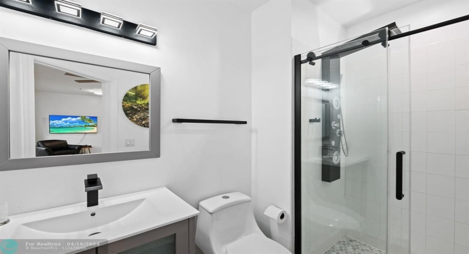 Lower level bathroom shower