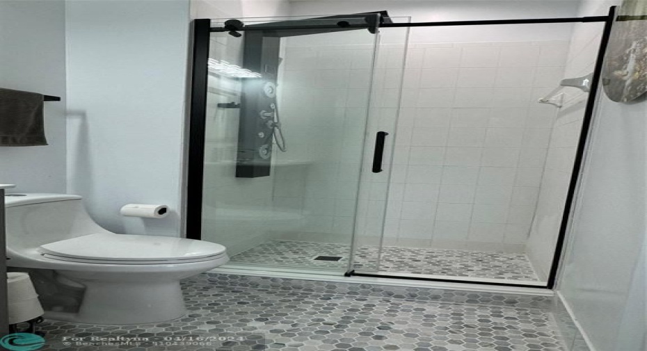 Lower level bathroom shower