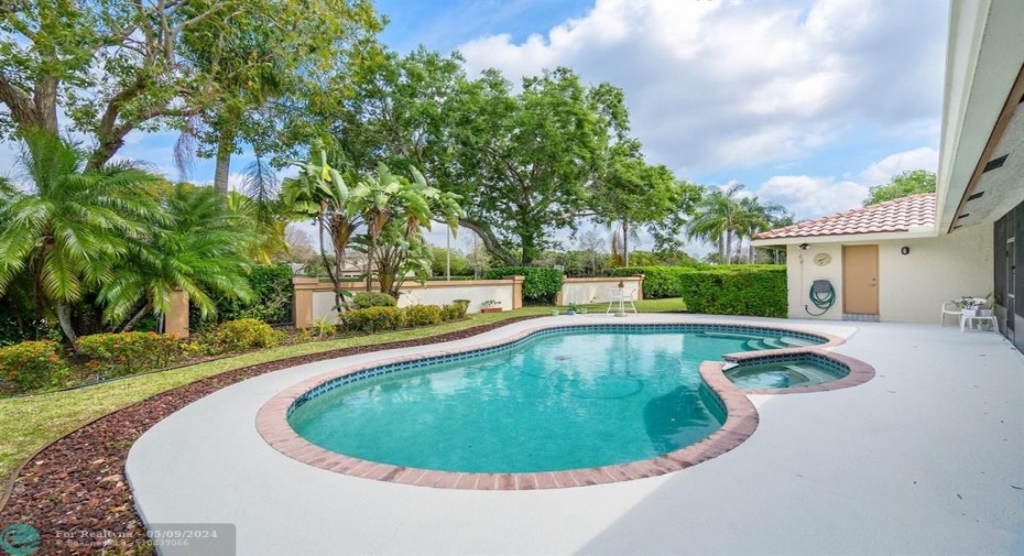 Amazing pool and yard!