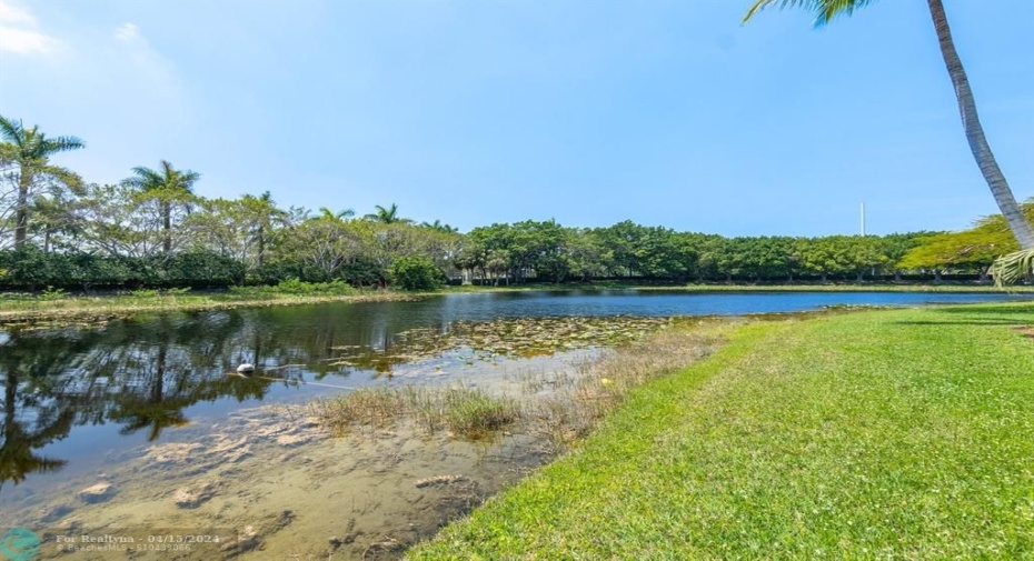 Unencumbered water views!