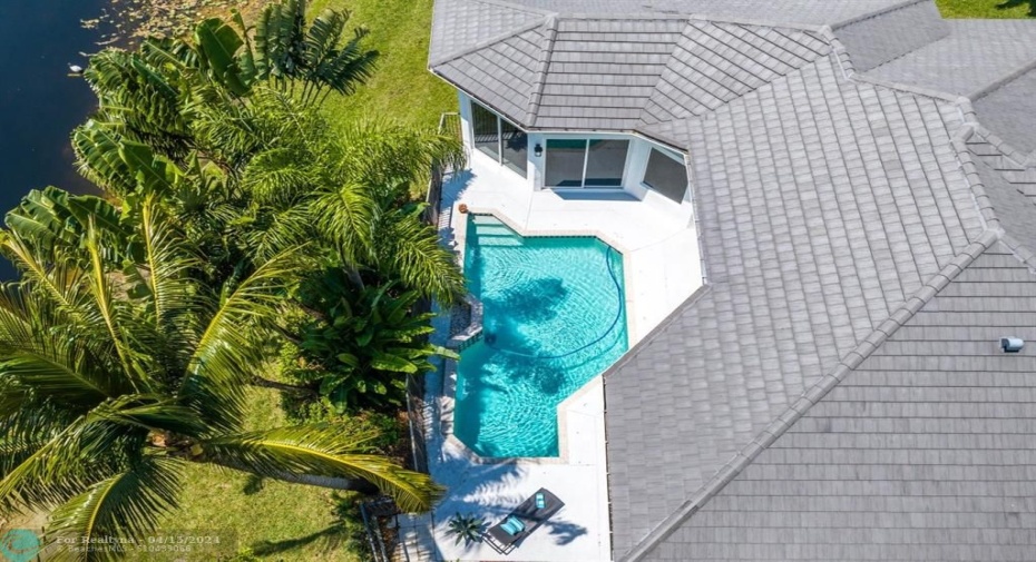 Brand new roof!