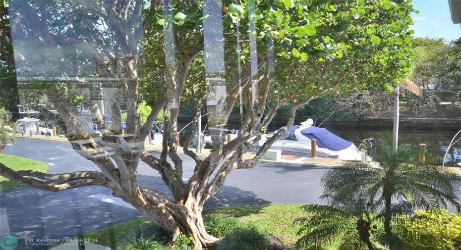 Serene Water/Garden View from unit
