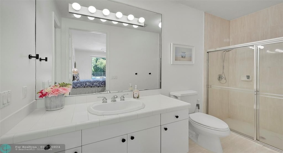 In-Law Suite bathroom