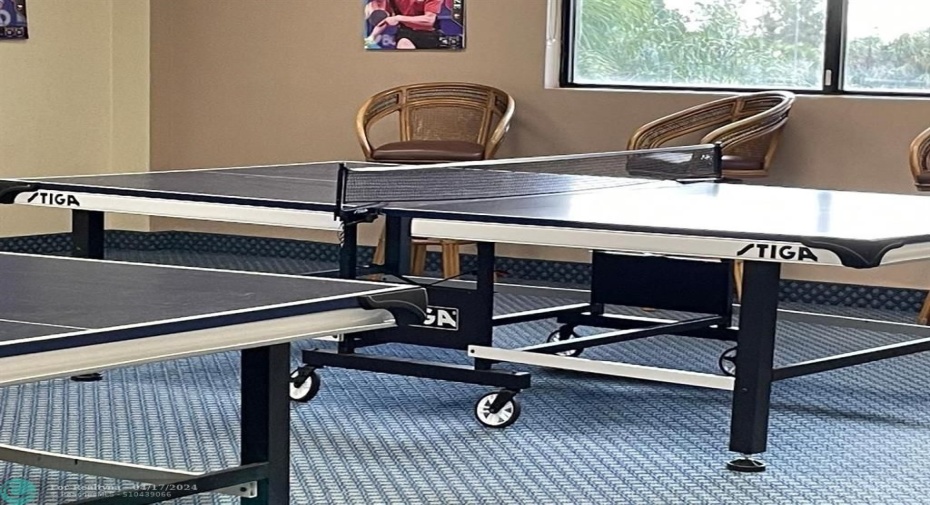 PING PONG