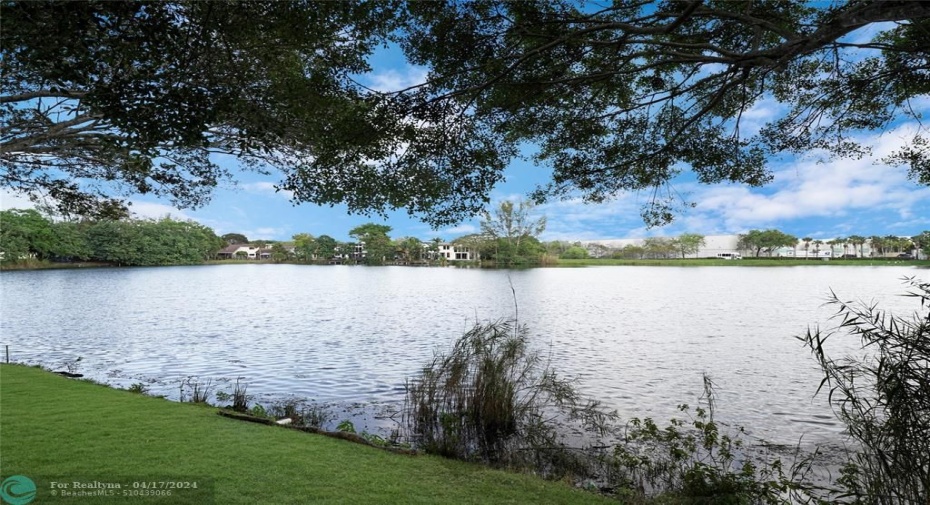 Water View