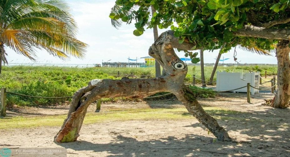Beachfront art
