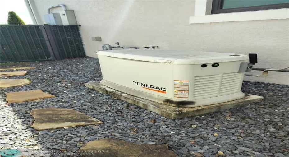 Generac Whole House Gas Generator