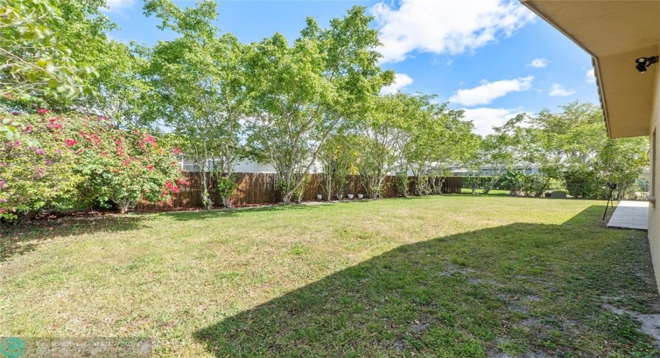 Privacy Fence
