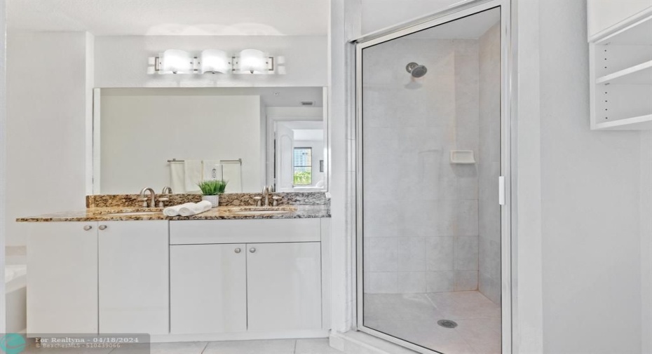Master Separate Shower and Roman Tub