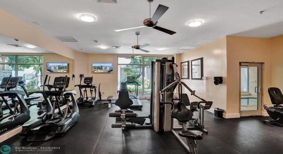Another View of the Gym