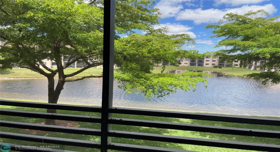 Water view