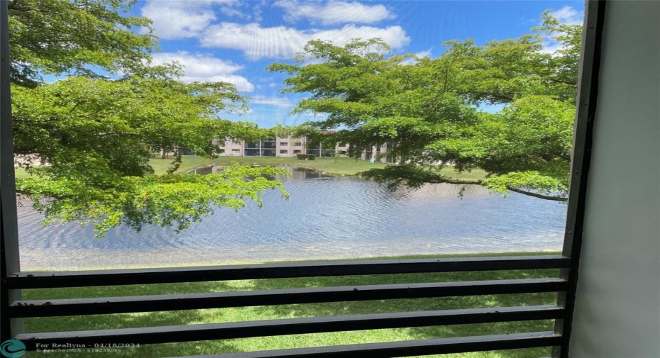 Water view