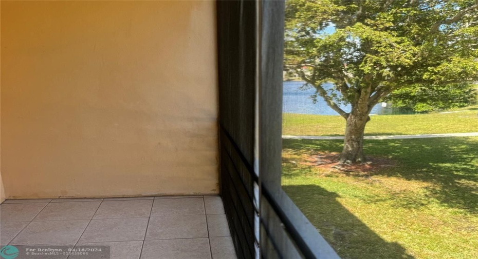 Back patio