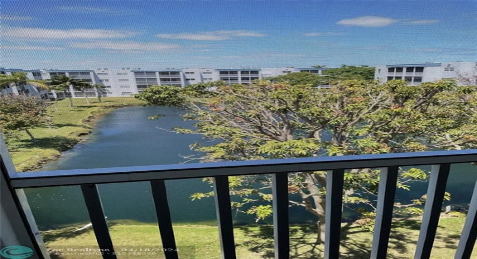 PATIO VIEW
