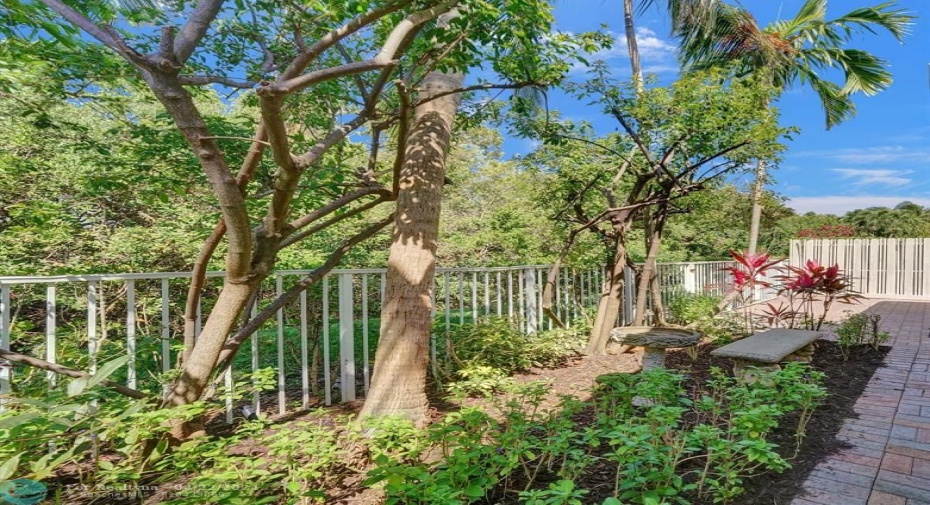 Butterfly Garden