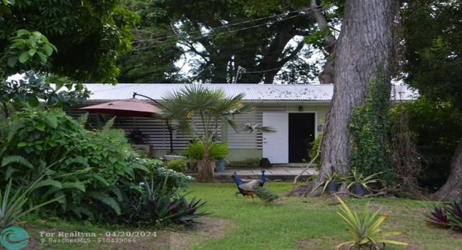 Cottage 2